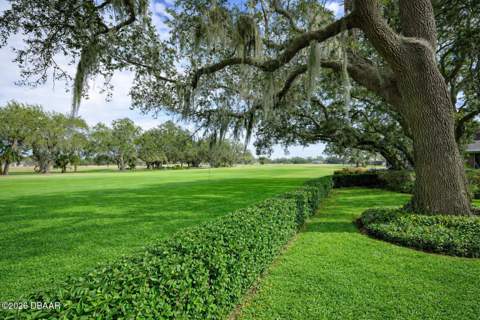 3311 Oak Vista Drive, Port Orange FL - photo 12 of 80
