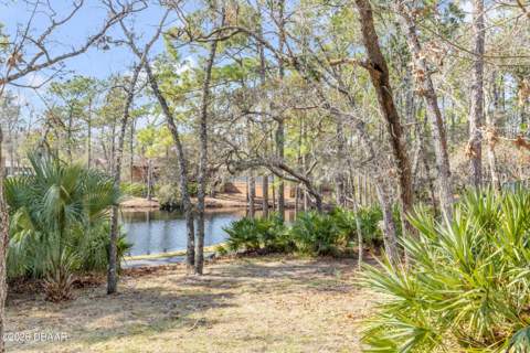 47 Crooked Pine Road, Port Orange FL - photo 6 of 39