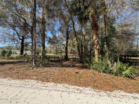 1065 S Massachusetts Avenue, DeLand FL - photo 9 of 41