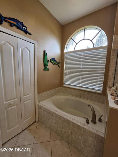 3803 Birch Mountain Road, Port Orange FL - photo 19 of 66