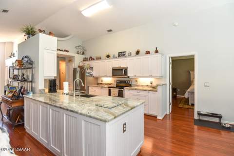 438 Long Cove Road, Ormond Beach FL - photo 12 of 37