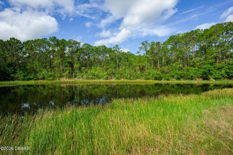 6282 Paradise Island Court, Port Orange FL - photo 9 of 60