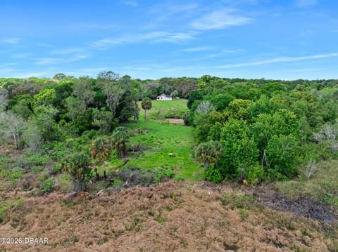 141 N Pine Street, Pierson FL - photo 8 of 26