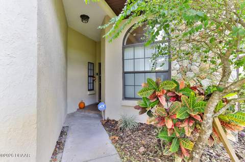 121 Dovecote Lane, Daytona Beach FL - photo 6 of 42
