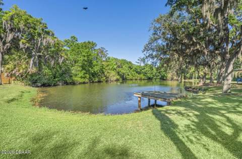 6015 Trailwood Drive, Port Orange FL - photo 15 of 64