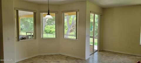 3773 Fiano Drive, Port Orange FL - photo 19 of 36