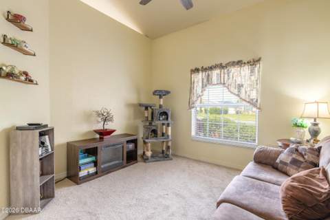 8 Lamoyne Lane, Palm Coast FL - photo 20 of 48