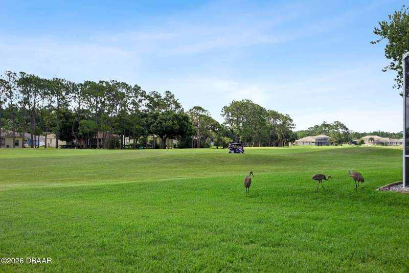 3 bedroom Single Family Residence at 6443 Renaissance Drive, Cypress Head, Port Orange — photo 3