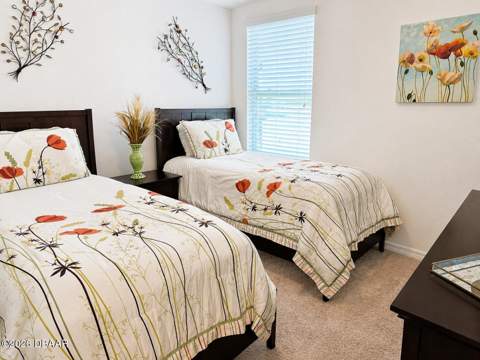 2719 Star Coral Lane, New Smyrna Beach FL - photo 13 of 22