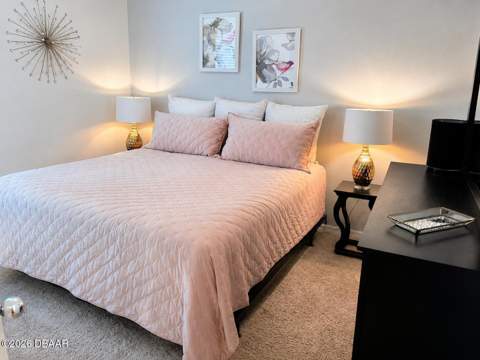 2719 Star Coral Lane, New Smyrna Beach FL - photo 15 of 22