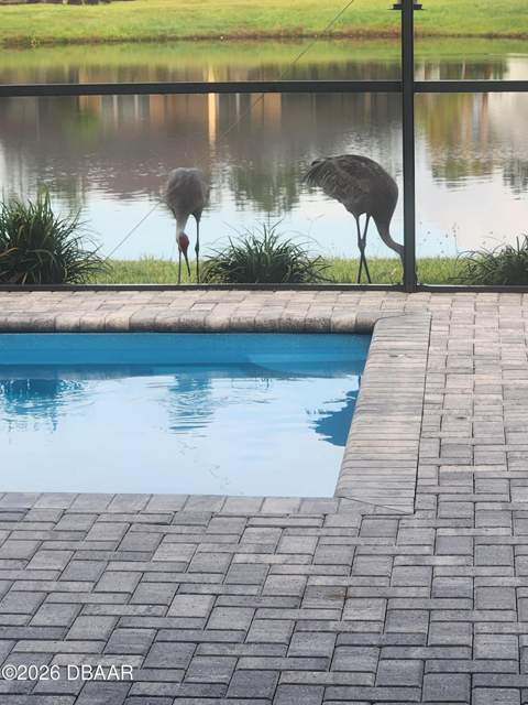 738 Margaritaville Avenue, Daytona Beach FL - photo 6 of 24