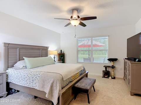 204 Caryota Court, New Smyrna Beach FL - photo 6 of 57