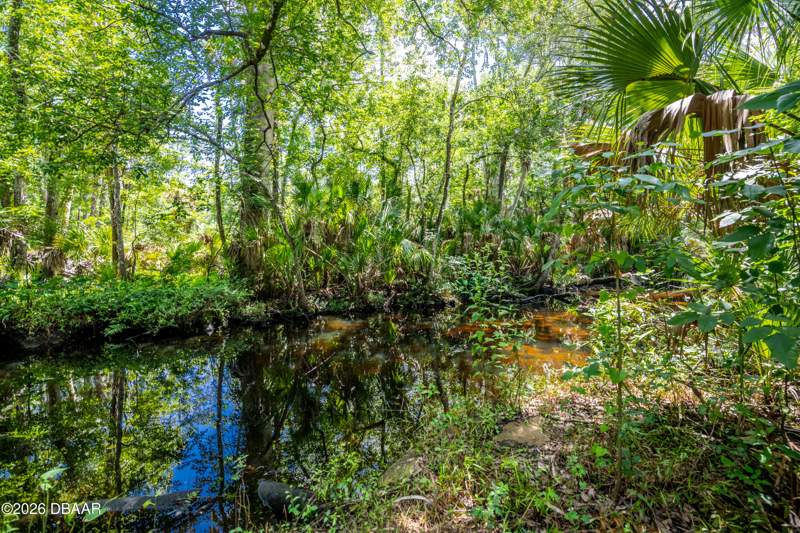 4 bedroom Single Family Residence at 15 River Ridge Trail, Trails, Ormond Beach — photo 3