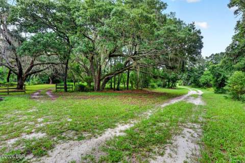 1980 Lake Hires Road, DeLeon Springs FL - photo 8 of 75