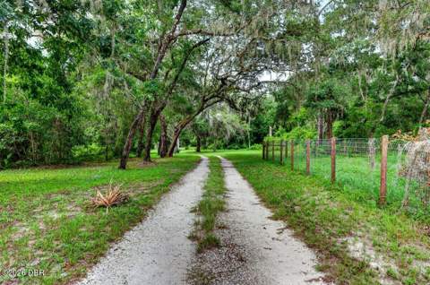 1980 Lake Hires Road, DeLeon Springs FL - photo 10 of 75