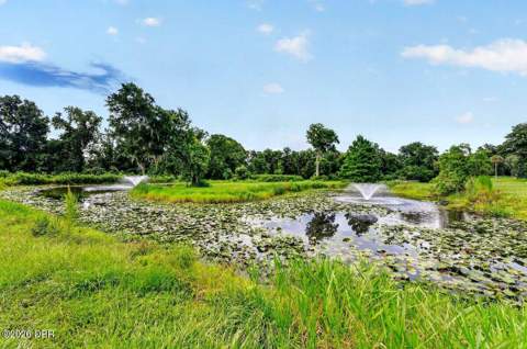 1980 Lake Hires Road, DeLeon Springs FL - photo 23 of 75