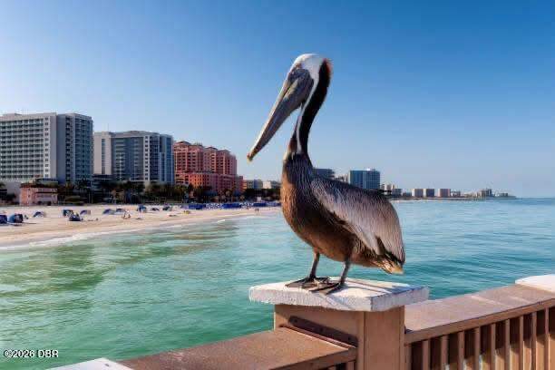 2 bedroom Condominium at 3047 S Atlantic Avenue #1002, Oceans Two, Daytona Beach Shores — photo 3
