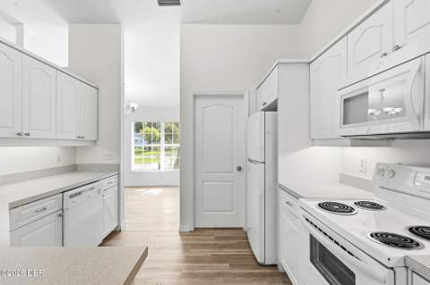 3128 Mango Tree Drive, Edgewater FL - photo 10 of 40