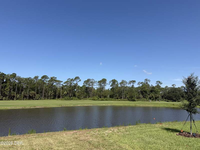 5 bedroom Single Family Residence at 1017 Champion Ridge Drive, Grande Champion, Daytona Beach — photo 5