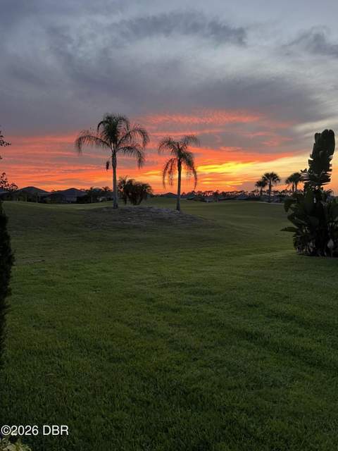 2909 N Asciano Court, New Smyrna Beach FL - photo 15 of 59