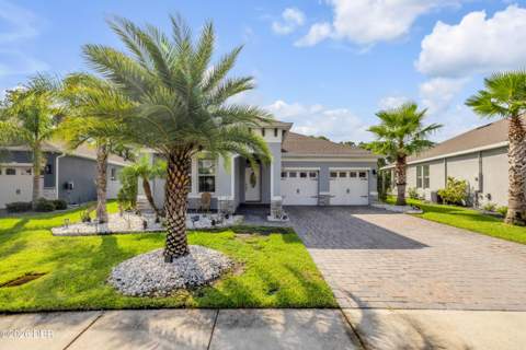 3027 Borassus Drive, New Smyrna Beach FL - photo 7 of 64