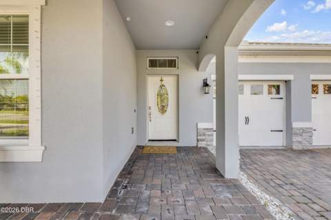 3027 Borassus Drive, New Smyrna Beach FL - photo 8 of 64