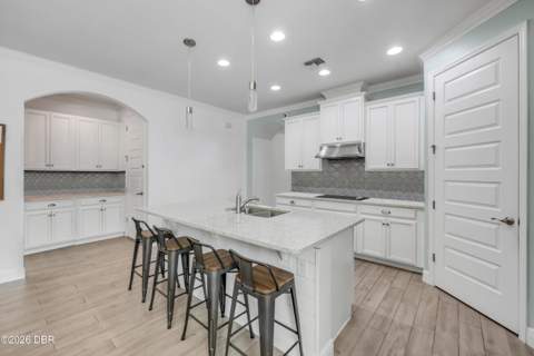 3027 Borassus Drive, New Smyrna Beach FL - photo 11 of 64