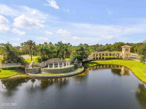 3027 Borassus Drive, New Smyrna Beach FL - photo 6 of 64
