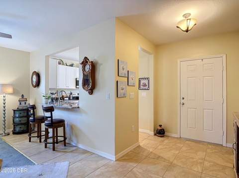 2672 Star Coral Lane, New Smyrna Beach FL - photo 8 of 52