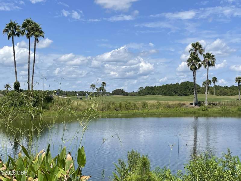3 bedroom Single Family Residence at 242 Catriona Drive, Lpga, Daytona Beach — photo 3