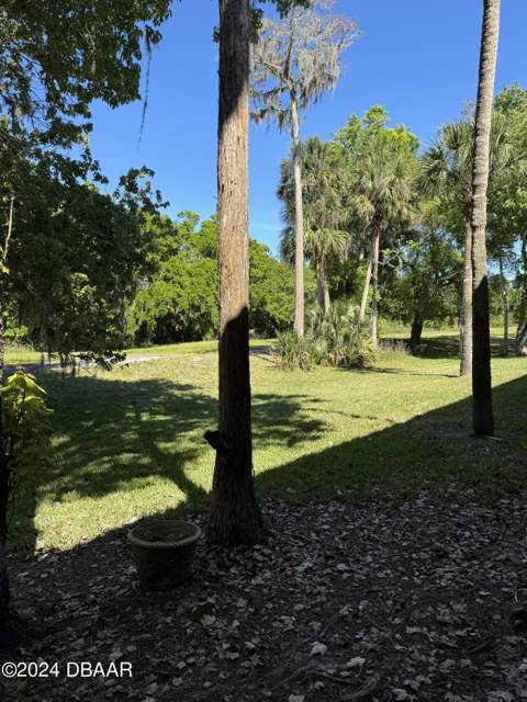 348 Bob White Court #119a, Daytona Beach FL - photo 9 of 12