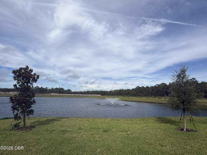 4 bedroom Single Family Residence at 1639 Houmas Street, Fountain View, Ormond Beach — photo 5