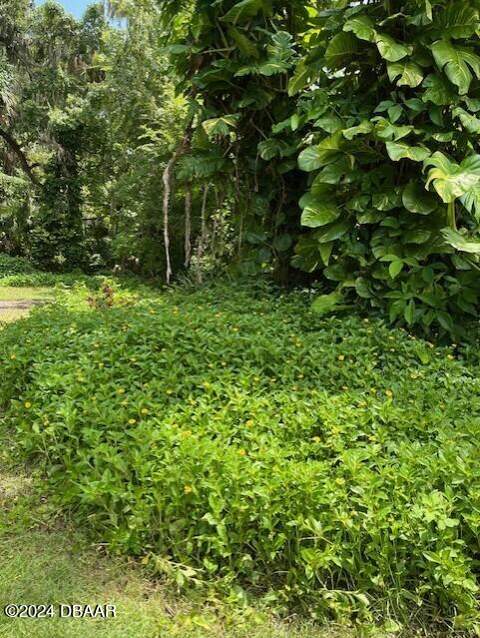 3465 Pepper Hill Road, Port Orange FL - photo 20 of 22