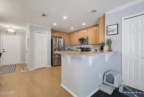 2666 Carthage Drive, New Smyrna Beach FL - photo 10 of 45