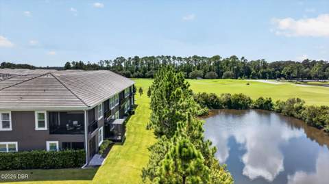 2898 Isles Way, New Smyrna Beach FL - photo 7 of 53