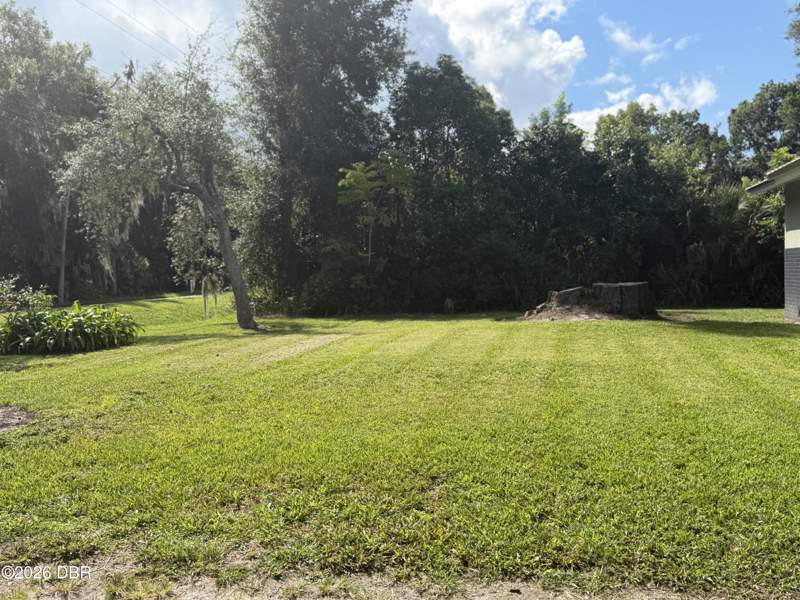 3 bedroom Single Family Residence at 662 N Volusia Avenue, Pierson, Pierson — photo 2