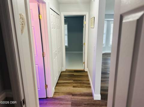 1475 Agatha Drive, Deltona FL - photo 8 of 25