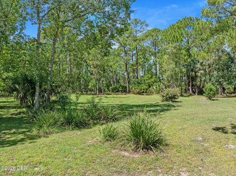 45 Winchester Road, Ormond Beach FL - photo 11 of 54