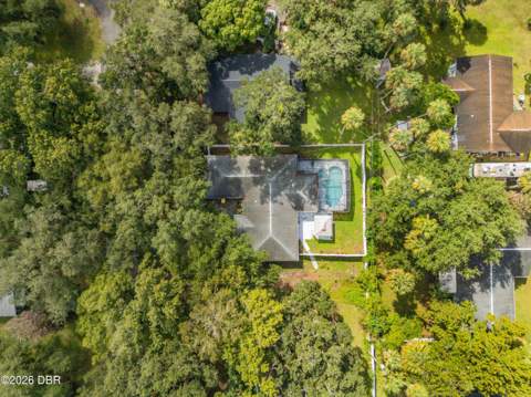 1328 Needle Palm Drive, Edgewater FL - photo 20 of 23