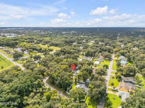 1328 Needle Palm Drive, Edgewater FL - photo 21 of 23