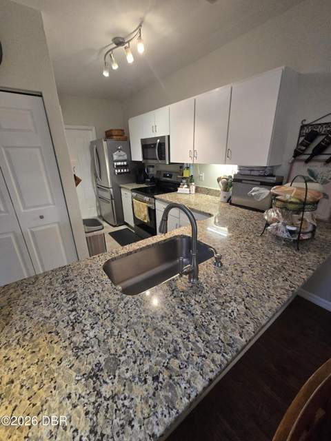 1804 Turnbull Lakes Drive, New Smyrna Beach FL - photo 14 of 33