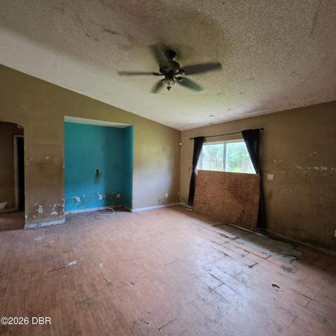 2408 Umbrella Tree Drive, Edgewater FL - photo 8 of 14