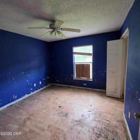 2408 Umbrella Tree Drive, Edgewater FL - photo 12 of 14