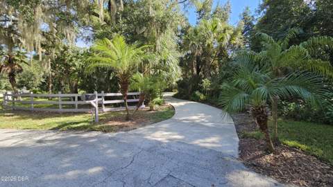 6217 Shoreline Drive, Port Orange FL - photo 22 of 25