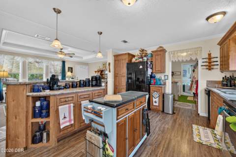 375 Beehive Drive, Oak Hill FL - photo 8 of 27