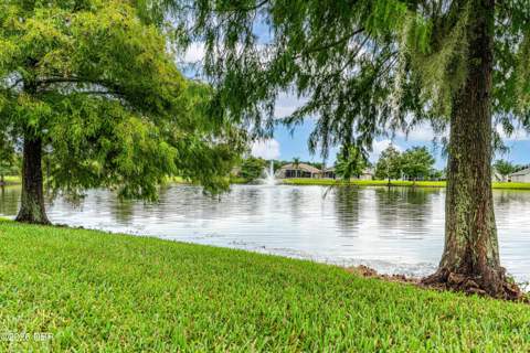 1671 Areca Palm Drive, Port Orange FL - photo 6 of 51
