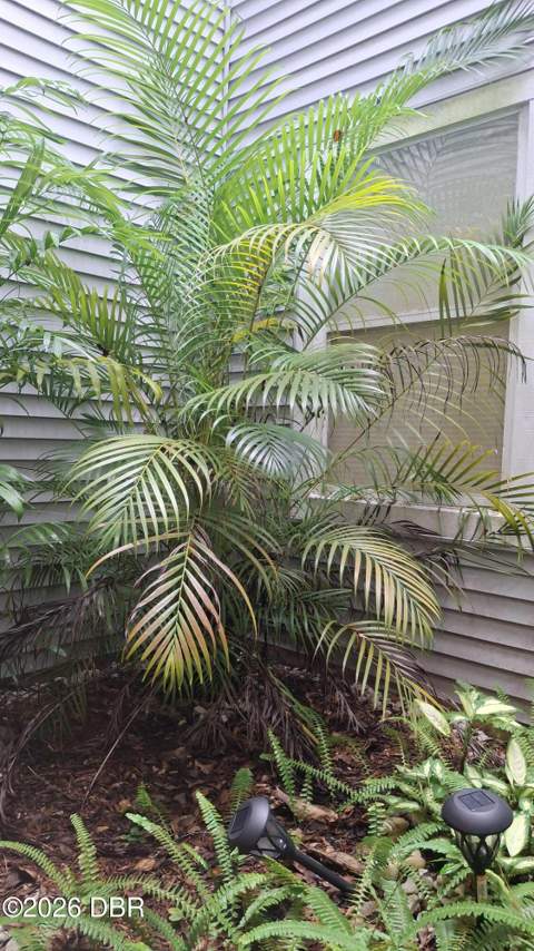 960 S Lakewood Terrace #B, Port Orange FL - photo 12 of 52