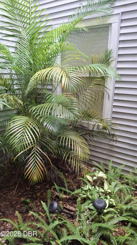 960 S Lakewood Terrace #B, Port Orange FL - photo 16 of 52