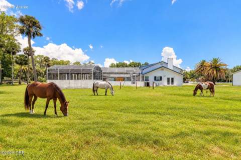 2015 Halifax Drive, Port Orange FL - photo 7 of 68