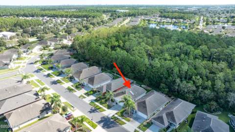 1512 Areca Palm Drive, Port Orange FL - photo 8 of 49